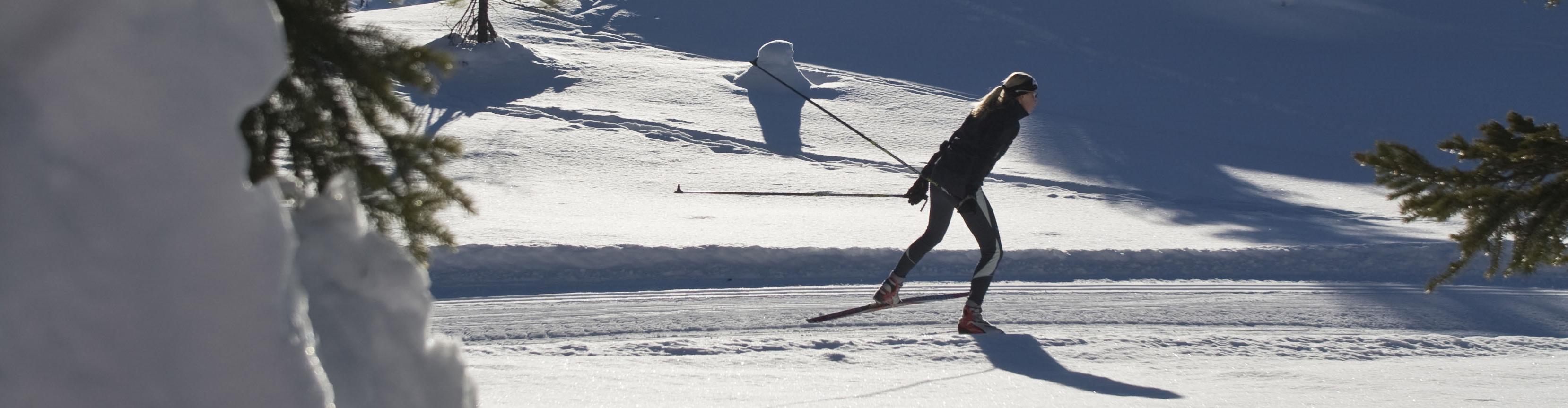 Langlauf Kurse - Skischule Pertl Turracher Höhe